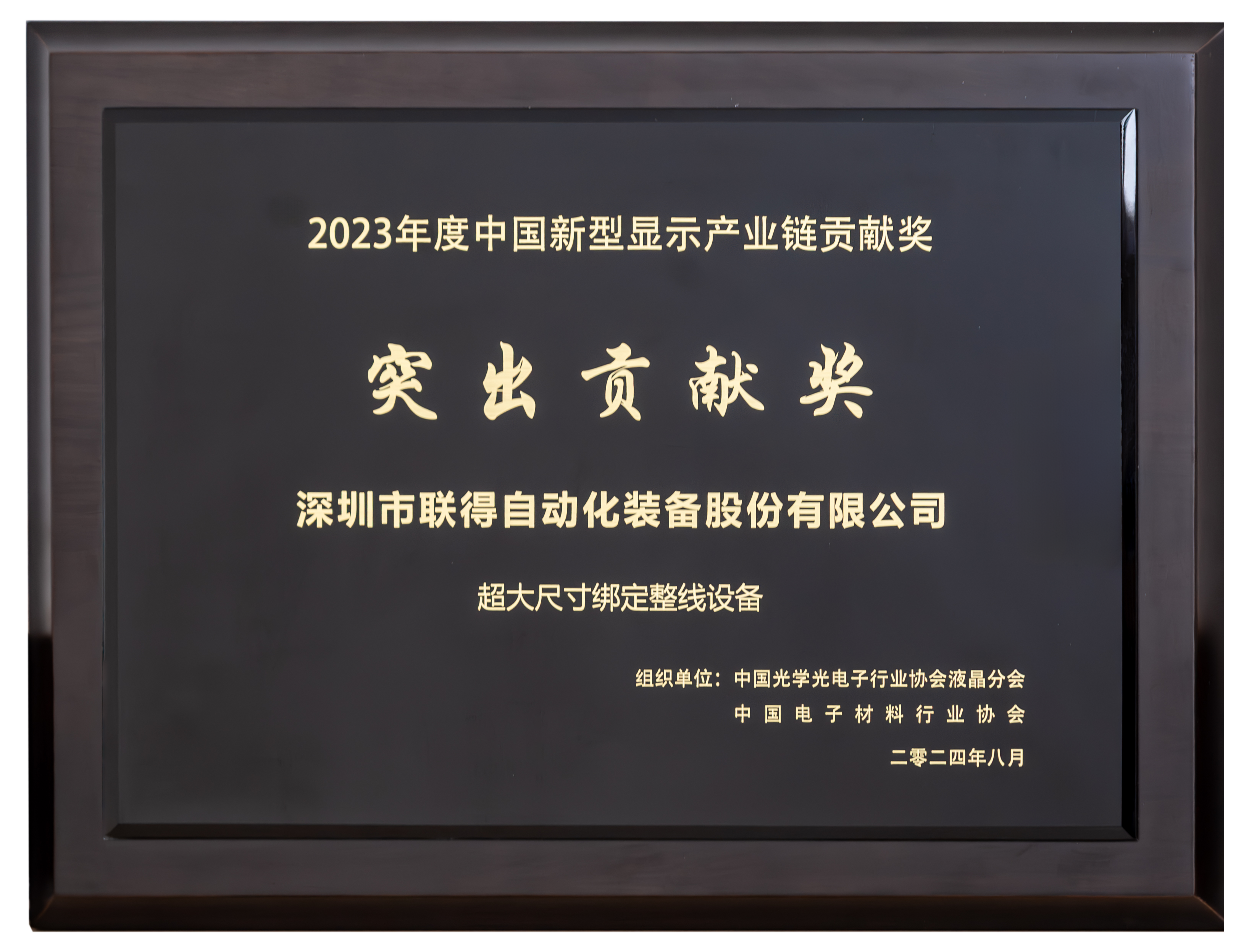 中国新型显示工业链孝顺奖-突出孝顺奖.png